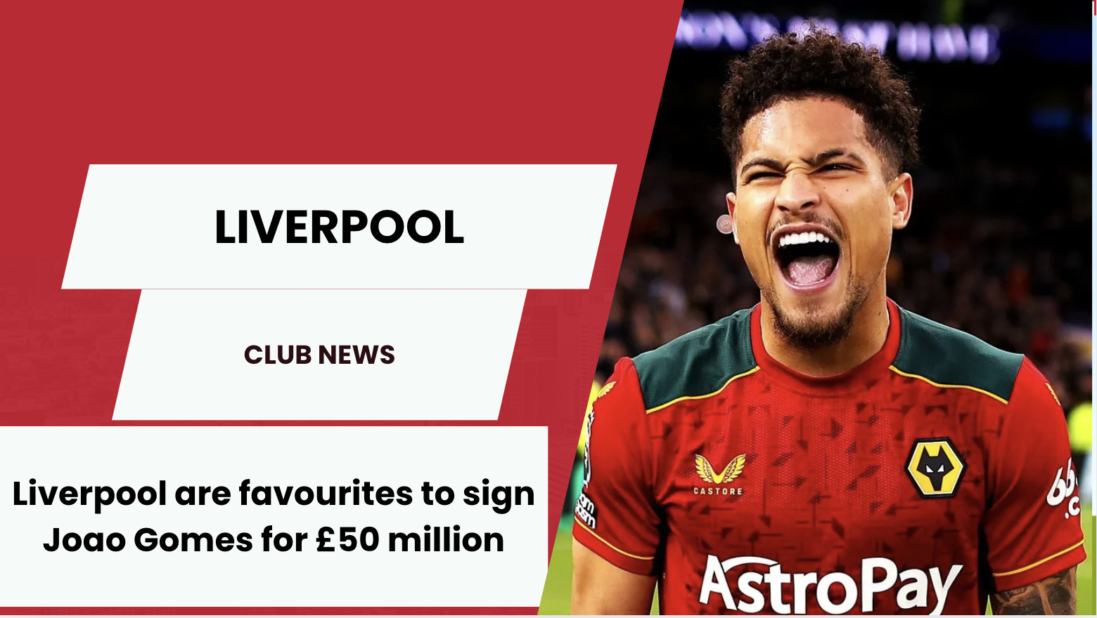 Liverpool are favourites to sign Joao Gomes for £50 million